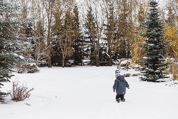 Rückansicht eines Jungen  der auf einem schneebedeckten Feld im Wald läuft