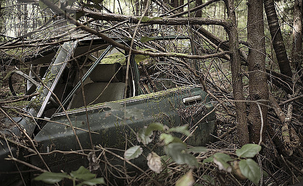Nahaufnahme eines verlassenen Autos im Wald