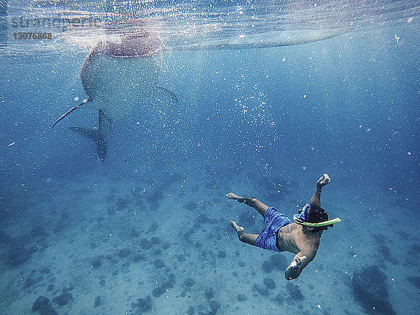 Schnorcheln eines Mannes ohne Hemd mit einem Walhai unter Wasser