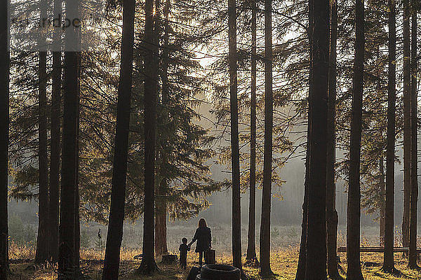 Rückansicht einer Mutter mit Sohn im Wald stehend