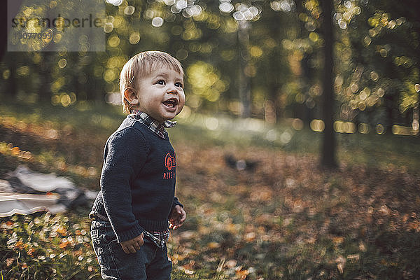 Fröhlicher kleiner Junge schaut weg  während er im Herbst im Park steht