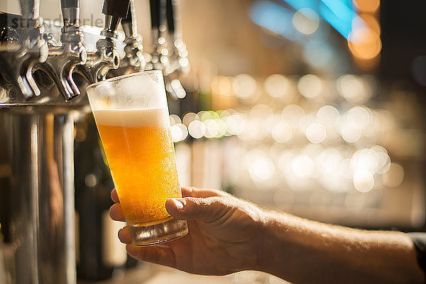 Geschorene Hand des Barkeepers beim Abfüllen von Bier vom Zapfhahn an der Bar