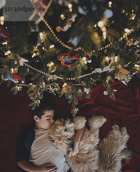 Draufsicht auf einen Jungen mit Hund  der zu Hause am Weihnachtsbaum liegt