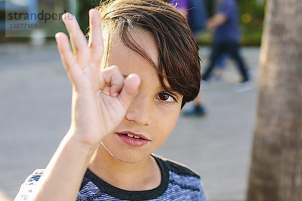 Porträt eines Jungen  der das OK-Zeichen zeigt  während er im Park steht