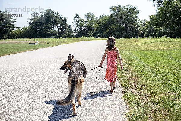Rückansicht eines Mädchens  das mit dem Deutschen Schäferhund an einem sonnigen Tag inmitten eines Grasfeldes unterwegs ist