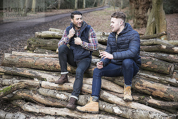 Männliche Freunde unterhalten sich  während sie auf Baumstämmen im Wald von Epping sitzen