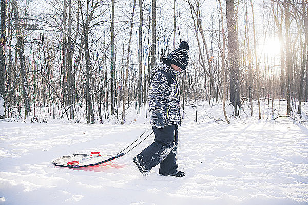 Seitenansicht eines Jungen mit Schlitten  der auf einem verschneiten Feld gegen kahle Bäume läuft