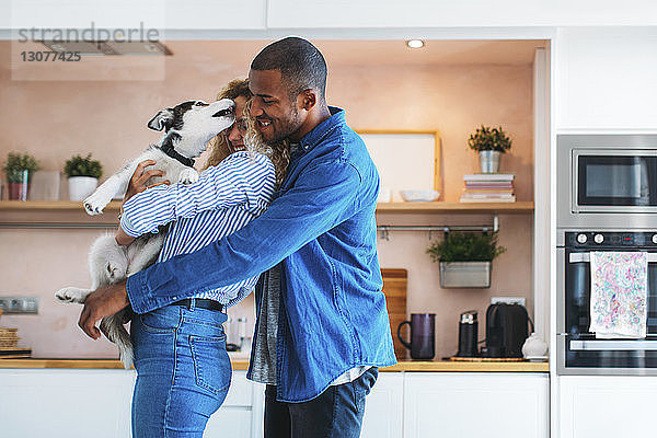 Liebevolles  multiethnisches Paar spielt zu Hause mit Siberian Husky