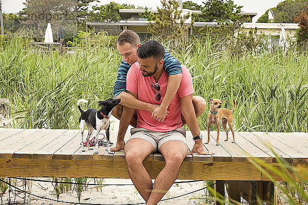 Schwuler Mann umarmt seinen Partner  während er mit Chihuahuas an der Strandpromenade sitzt