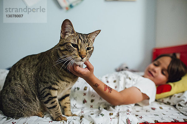 Junge streichelt Katze  während er zu Hause auf dem Bett liegt