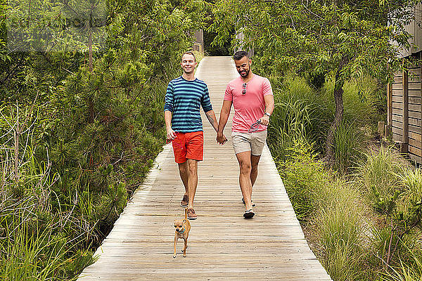 Glückliches homosexuelles Paar unterhält sich beim Spaziergang mit Chihuahua an der Strandpromenade