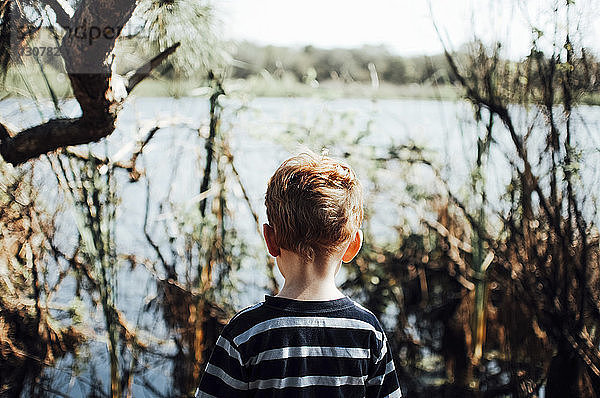 Rückansicht eines Jungen  der am See im Wald steht