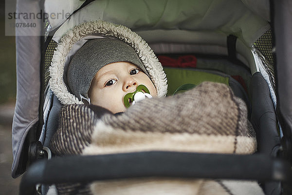 Porträt eines süßen Kleinkindes mit Schnuller im Mund  das im Herbst auf einem Kinderwagen im Park liegt