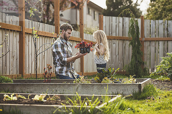Vater zeigt Tochter Pflanze bei Gartenarbeit im Garten