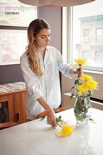 Junge Frau dekoriert zu Hause Vase mit Chrysanthemen