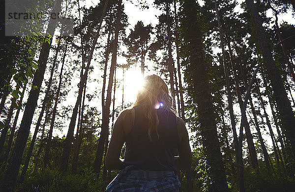 Rückansicht einer an Bäumen stehenden Frau im Wald