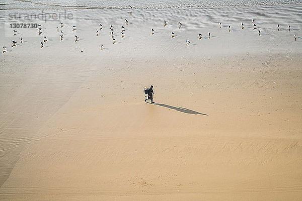Hochwinkelaufnahme eines Mannes  der am Strand spazieren geht  während Vögel am Ufer sitzen