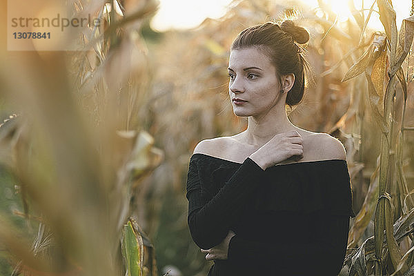 Nachdenkliche junge Frau schaut weg  während sie inmitten von Feldfrüchten auf dem Feld steht