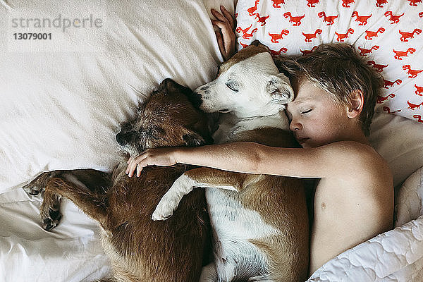 Draufsicht eines Jungen ohne Hemd  der mit Hunden auf dem Bett schläft