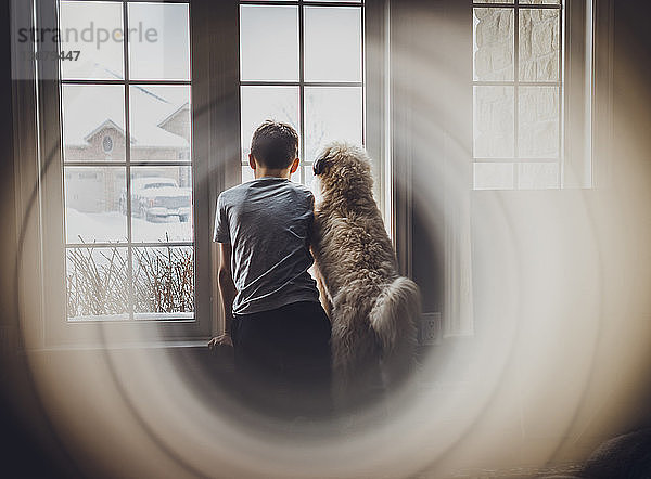 Rückansicht eines Jungen mit Hund  der durch ein Fenster blickt und zu Hause durch Glas gesehen wird