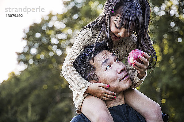 Mädchen sitzt auf der Schulter des Vaters im Obstgarten