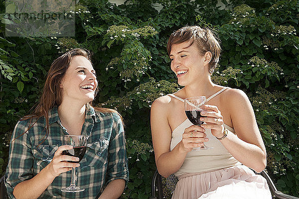 Glückliche Freunde genießen Wein  während sie auf einem Stuhl im Hof sitzen