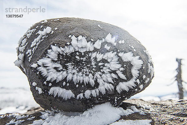 Gefrorenes Eis auf Stein in der Three Sisters Wilderness