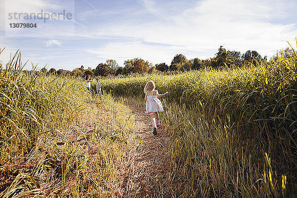Rückansicht eines im Maisfeld laufenden Mädchens