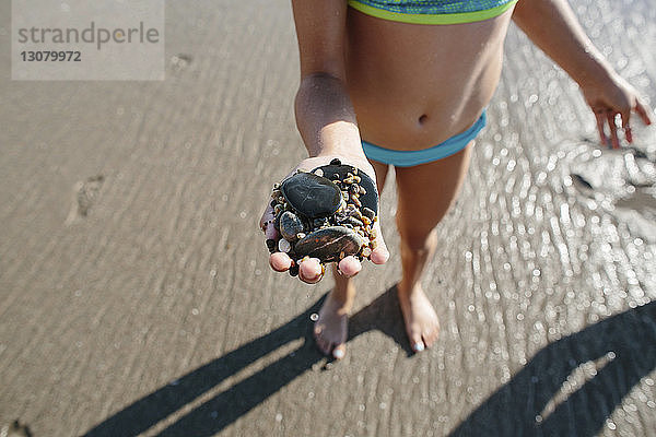 Niedrige Sektion eines Mädchens  das Kieselsteine hält  während es an einem sonnigen Tag am Strand steht