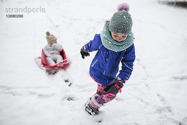 Mädchen zieht Schwester  die im Schlitten auf schneebedecktem Feld sitzt