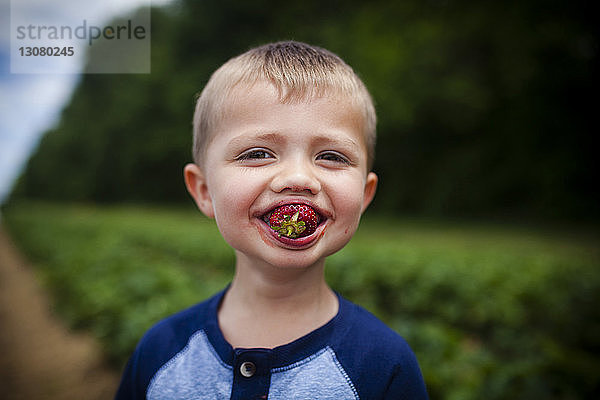 Porträt eines glücklichen Jungen  der Erdbeeren isst