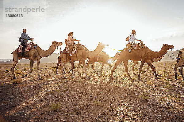 Touristen reiten auf Kamelen in der Wüste am sonnigen Tag gegen den Himmel