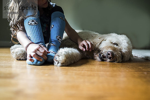 Ausgeschnittenes Bild eines Mädchens  das zu Hause mit einem Hund auf dem Boden sitzt