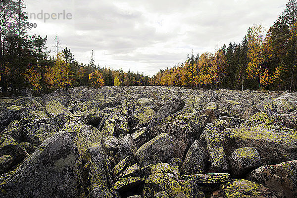 Felsen auf dem Feld bei Bäumen gegen bewölkten Himmel im Herbst