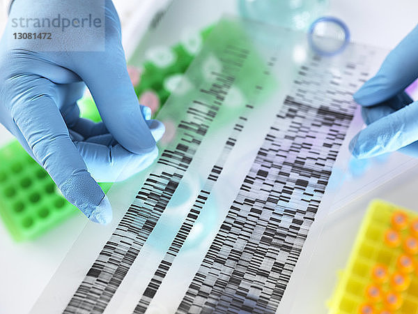 Beschnittene Hände eines Wissenschaftlers  der bei der Arbeit im Labor DNA-Gel in der Hand hält