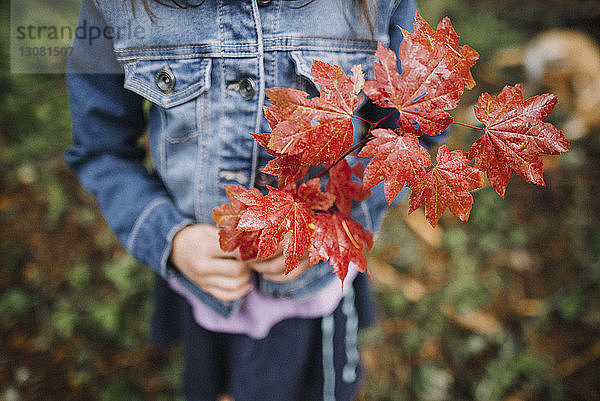 Mädchen hält Ahornblätter in der Mitte  während sie im Herbst im Park steht