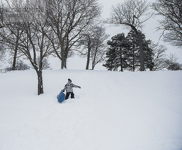 Rückansicht eines Jungen mit Schlitten  der auf einem schneebedeckten Feld im Wald läuft