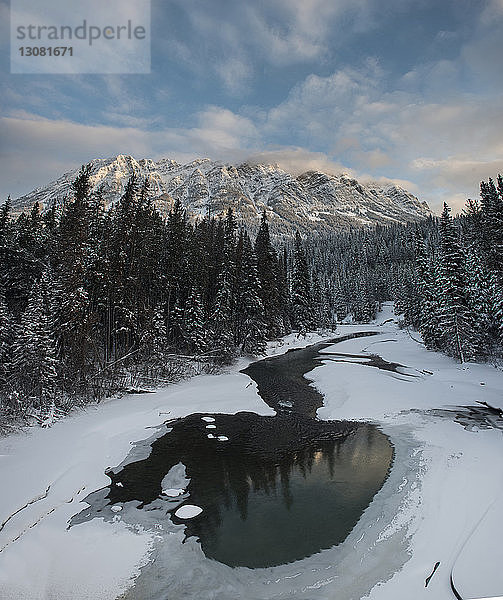 Hochwinkelansicht des Sees bei Bäumen im Wells Gray Provincial Park