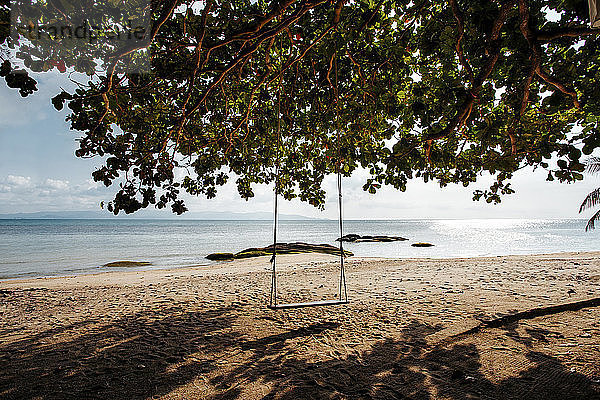 Leere Schaukel am Baum am Strand gegen den Himmel am sonnigen Tag
