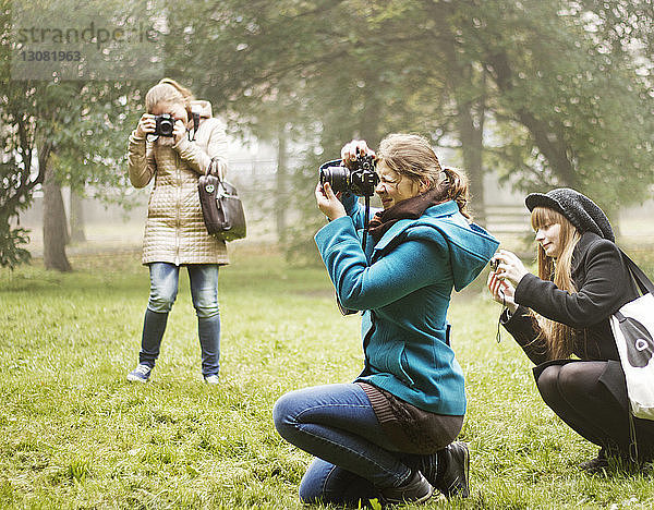 Freunde fotografieren auf Grasfeld im Park