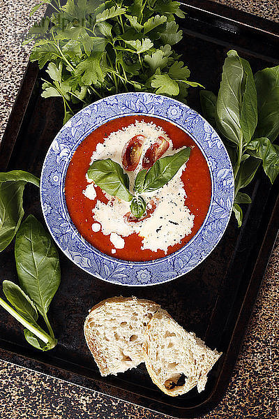 Schrägansicht einer Tomatensuppe mit Kräutern und Brot  die in einem Tablett auf dem Tisch serviert wird