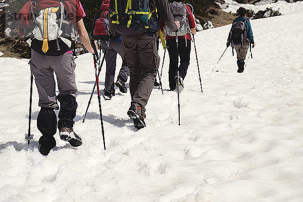 Rückansicht von Wanderern  die auf schneebedecktem Feld gehen