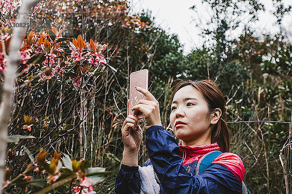 Wanderin beim Fotografieren von Blumen mit dem Handy im Wald