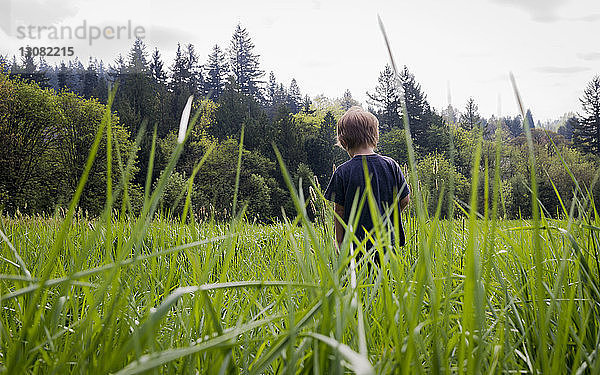 Rückansicht eines Jungen  der inmitten eines Grasfeldes steht