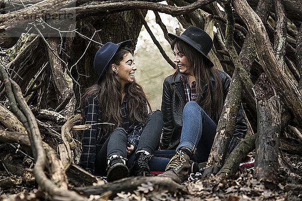 Fröhliche Freundinnen unterhalten sich  während sie inmitten von Wurzeln im Wald von Epping sitzen