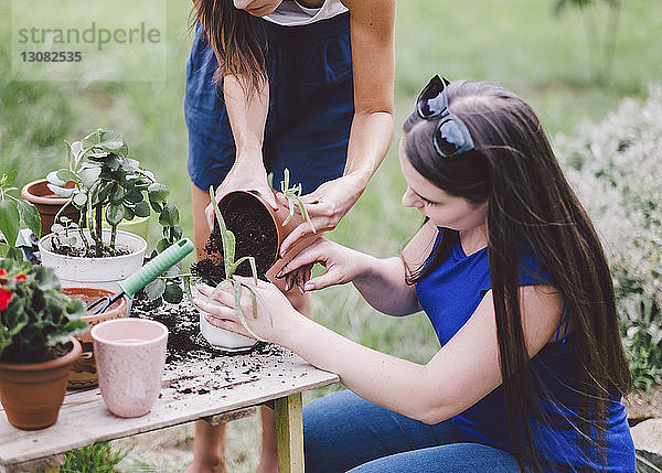 Freundinnen töpfen Pflanzen auf dem Tisch im Garten