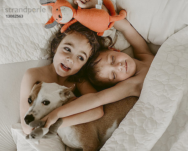 Draufsicht auf die hemdlosen Geschwister  die mit Hund und Plüschtieren auf dem Bett liegen