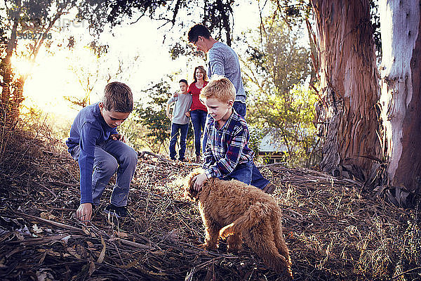 Familie geniesst mit Hund auf dem Feld inmitten von Bäumen