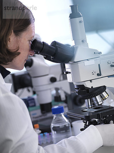Wissenschaftlerin analysiert Blutproben im Labor unter dem Mikroskop