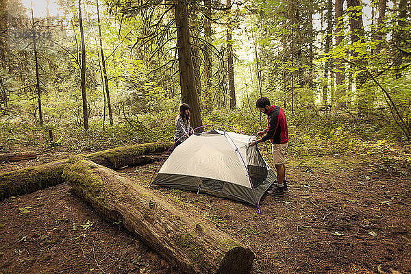 Ehepaar steht beim Zelt auf einem Feld im Wald